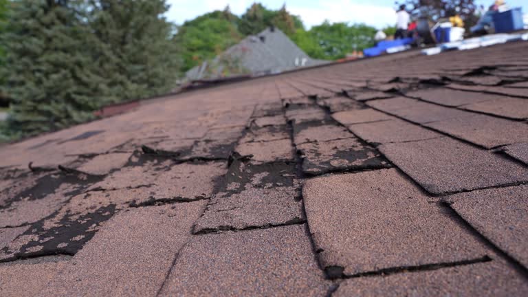 Roof Coating Services in Dixon, KY