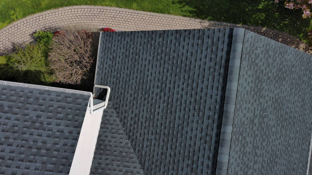 Best Roof Insulation Installation  in Dixon, KY